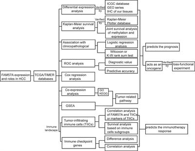 Integrated Analysis of FAM57A Expression and Its Potential Roles in Hepatocellular Carcinoma